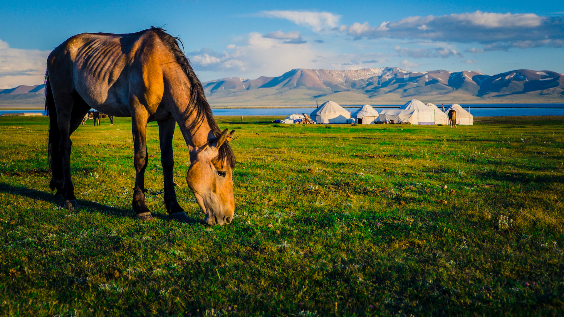 Kyrgyzstan The Land of Nomads Escape Travels